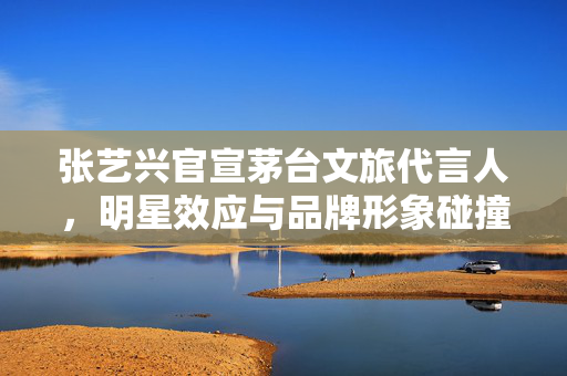 张艺兴官宣茅台文旅代言人，明星效应与品牌形象碰撞的争议