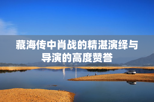 藏海传中肖战的精湛演绎与导演的高度赞誉