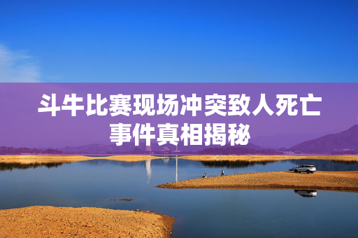 斗牛比赛现场冲突致人死亡事件真相揭秘
