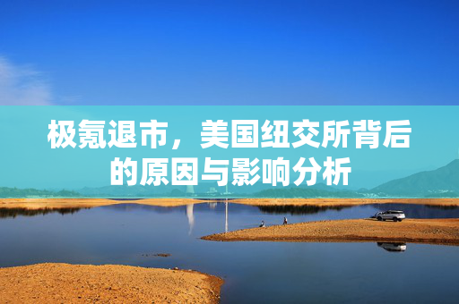 极氪退市，美国纽交所背后的原因与影响分析