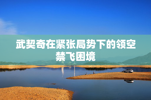 武契奇在紧张局势下的领空禁飞困境