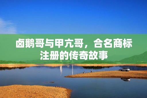 卤鹅哥与甲亢哥，合名商标注册的传奇故事