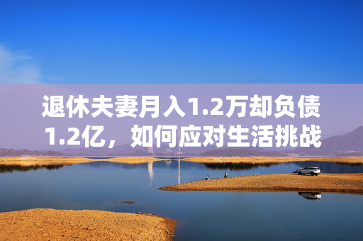 退休夫妻月入1.2万却负债1.2亿，如何应对生活挑战？