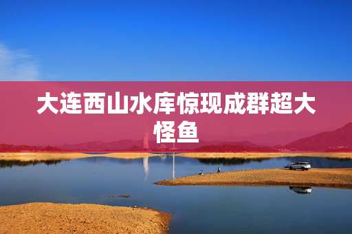 大连西山水库惊现成群超大怪鱼