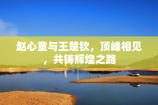 赵心童与王楚钦，顶峰相见，共铸辉煌之路