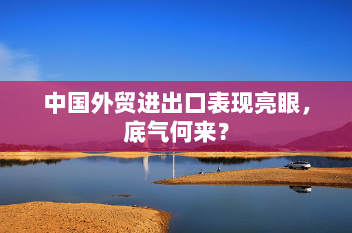 中国外贸进出口表现亮眼，底气何来？