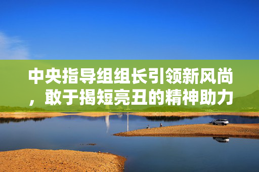 中央指导组组长引领新风尚，敢于揭短亮丑的精神助力工作创新发展