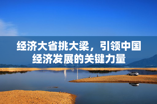 经济大省挑大梁，引领中国经济发展的关键力量