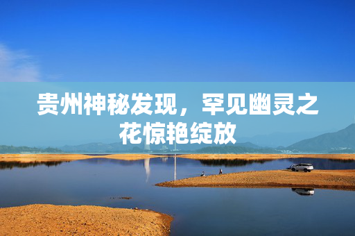 贵州神秘发现，罕见幽灵之花惊艳绽放