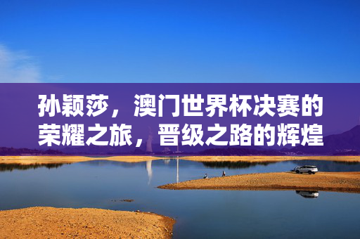 孙颖莎，澳门世界杯决赛的荣耀之旅，晋级之路的辉煌成就