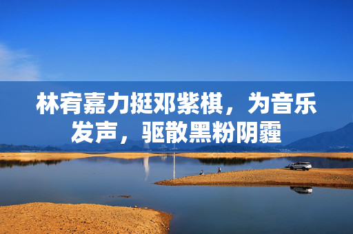 林宥嘉力挺邓紫棋，为音乐发声，驱散黑粉阴霾
