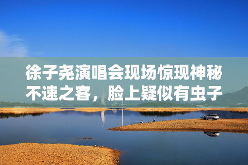 徐子尧演唱会现场惊现神秘不速之客，脸上疑似有虫子爬动