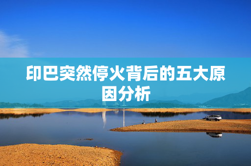 印巴突然停火背后的五大原因分析