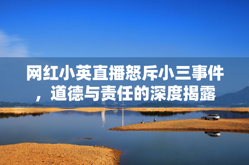 网红小英直播怒斥小三事件，道德与责任的深度揭露