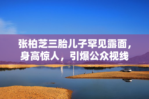 张柏芝三胎儿子罕见露面，身高惊人，引爆公众视线