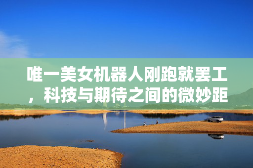 唯一美女机器人刚跑就罢工，科技与期待之间的微妙距离