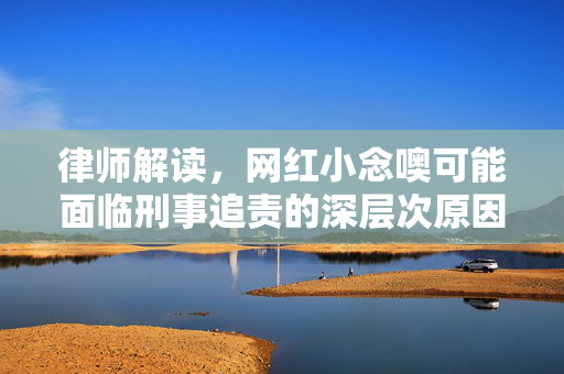 律师解读，网红小念噢可能面临刑事追责的深层次原因