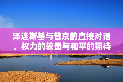 泽连斯基与普京的直接对话，权力的较量与和平的期待