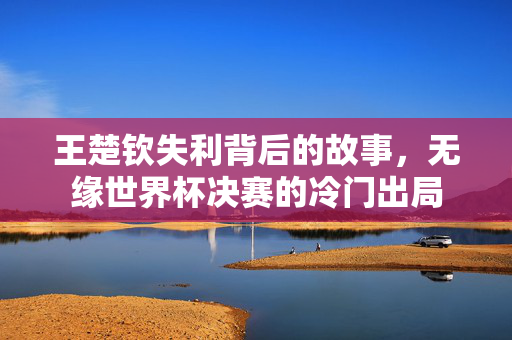 王楚钦失利背后的故事，无缘世界杯决赛的冷门出局