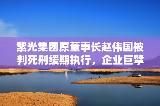 紫光集团原董事长赵伟国被判死刑缓期执行，企业巨擘的沉沦与反思