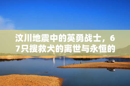 汶川地震中的英勇战士，67只搜救犬的离世与永恒的奉献