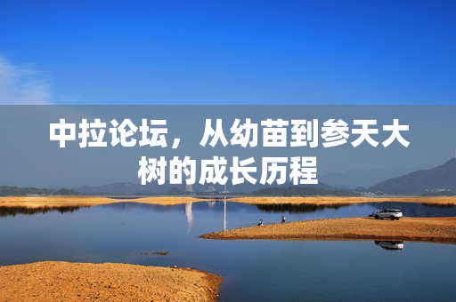 中拉论坛，从幼苗到参天大树的成长历程
