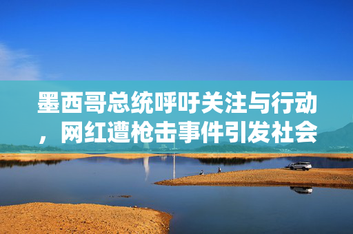 墨西哥总统呼吁关注与行动，网红遭枪击事件引发社会关注