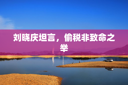 刘晓庆坦言，偷税非致命之举
