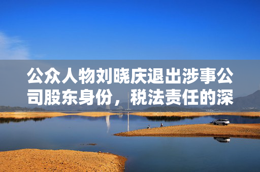 公众人物刘晓庆退出涉事公司股东身份，税法责任的深度解读
