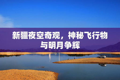 新疆夜空奇观，神秘飞行物与明月争辉