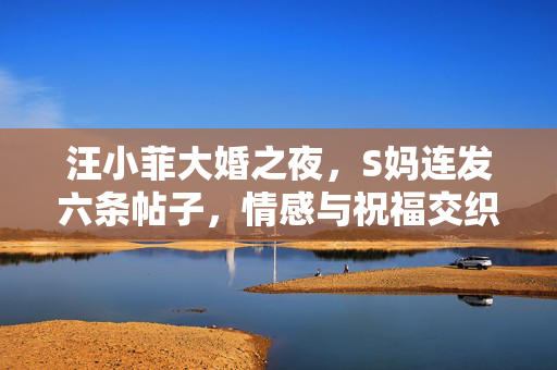 汪小菲大婚之夜，S妈连发六条帖子，情感与祝福交织的温馨瞬间