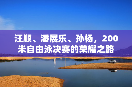 汪顺、潘展乐、孙杨，200米自由泳决赛的荣耀之路