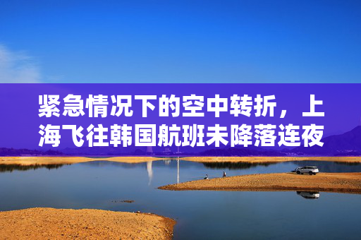 紧急情况下的空中转折，上海飞往韩国航班未降落连夜飞回国的经历