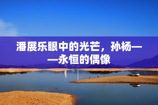 潘展乐眼中的光芒，孙杨——永恒的偶像