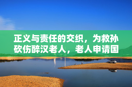 正义与责任的交织，为救孙砍伤醉汉老人，老人申请国赔128万事件剖析