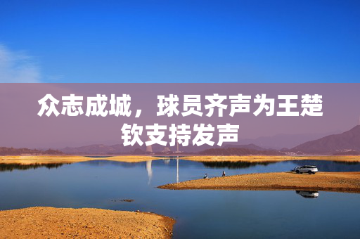 众志成城，球员齐声为王楚钦支持发声