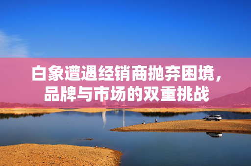 白象遭遇经销商抛弃困境，品牌与市场的双重挑战