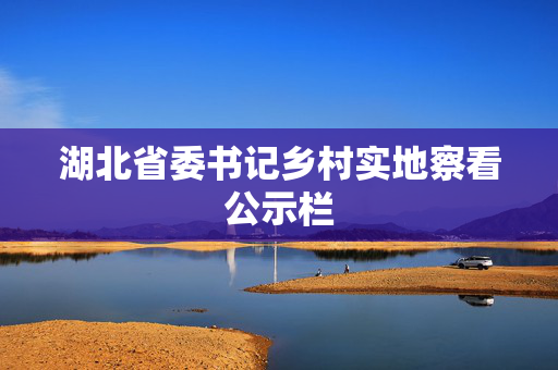 湖北省委书记乡村实地察看公示栏