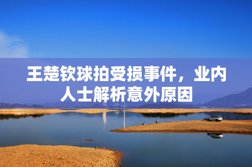 王楚钦球拍受损事件，业内人士解析意外原因