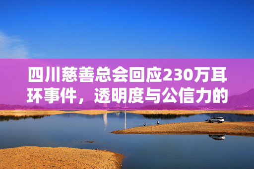 四川慈善总会回应230万耳环事件，透明度与公信力的双重考验