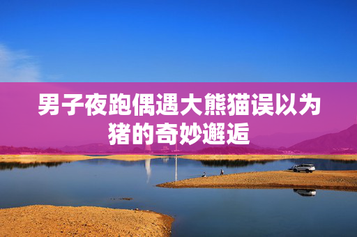 男子夜跑偶遇大熊猫误以为猪的奇妙邂逅