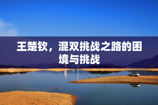 王楚钦，混双挑战之路的困境与挑战
