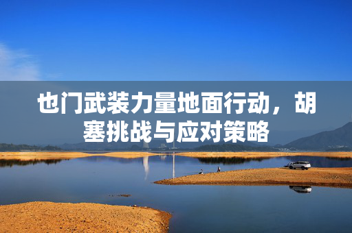 也门武装力量地面行动，胡塞挑战与应对策略