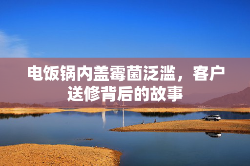 电饭锅内盖霉菌泛滥，客户送修背后的故事