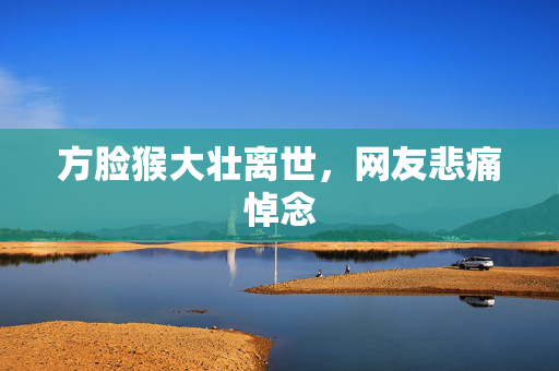 方脸猴大壮离世，网友悲痛悼念