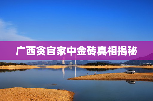 广西贪官家中金砖真相揭秘