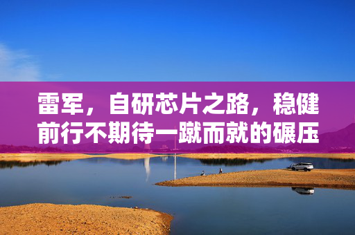 雷军，自研芯片之路，稳健前行不期待一蹴而就的碾压苹果
