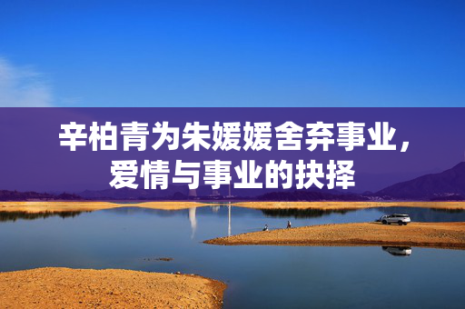辛柏青为朱媛媛舍弃事业，爱情与事业的抉择
