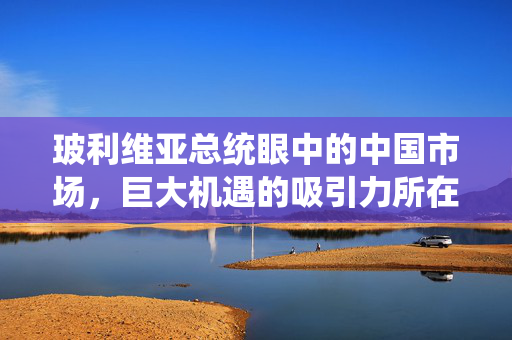 玻利维亚总统眼中的中国市场，巨大机遇的吸引力所在