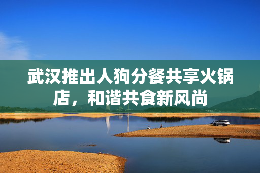 武汉推出人狗分餐共享火锅店，和谐共食新风尚
